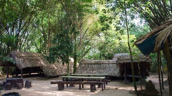 an empty park bench next to a tree